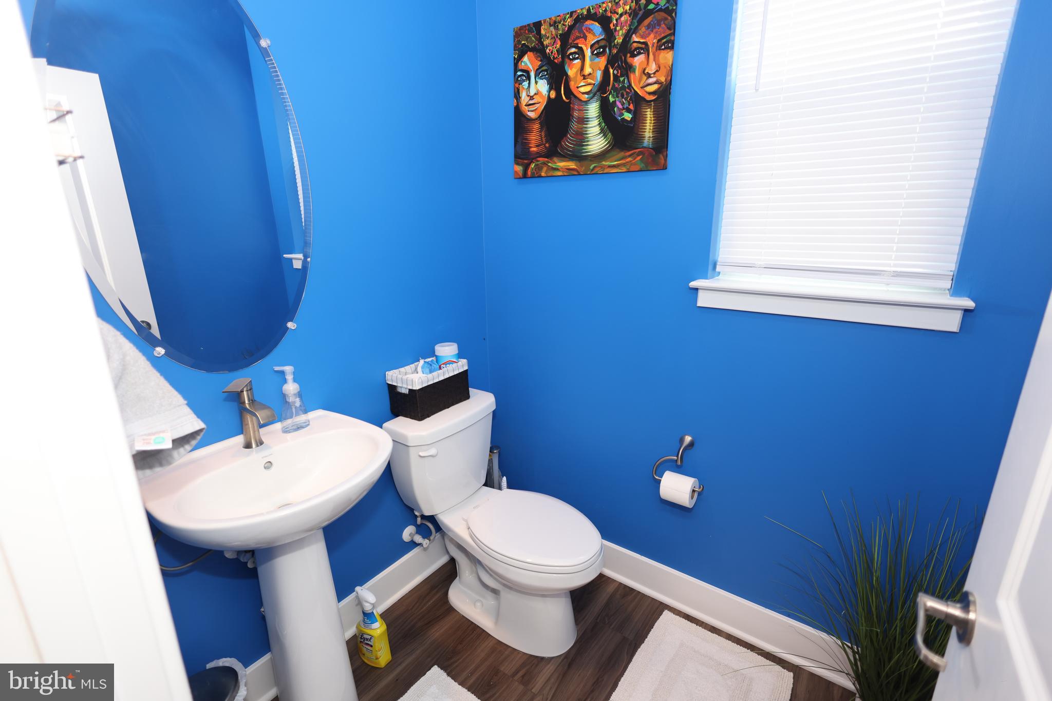 5676 LEWIS CARROLL DRIVE