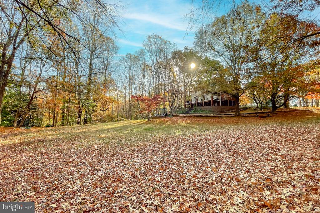 11426 DANUBE COURT