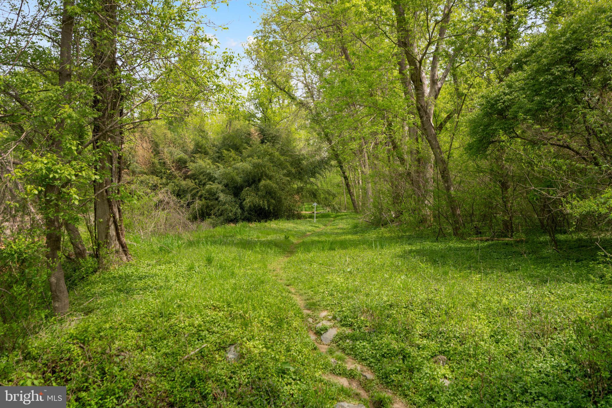 9037 Wandering Trail Dr