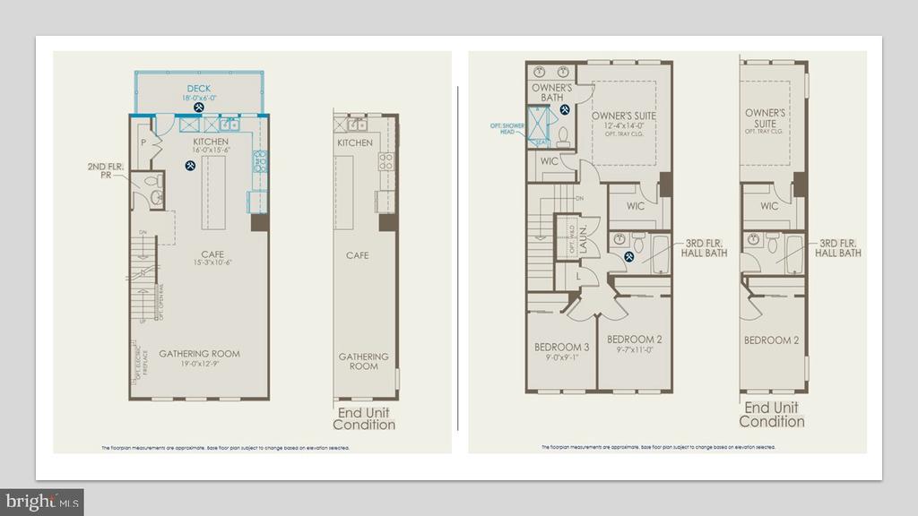 14426 LEAFHOPPER DRIVE