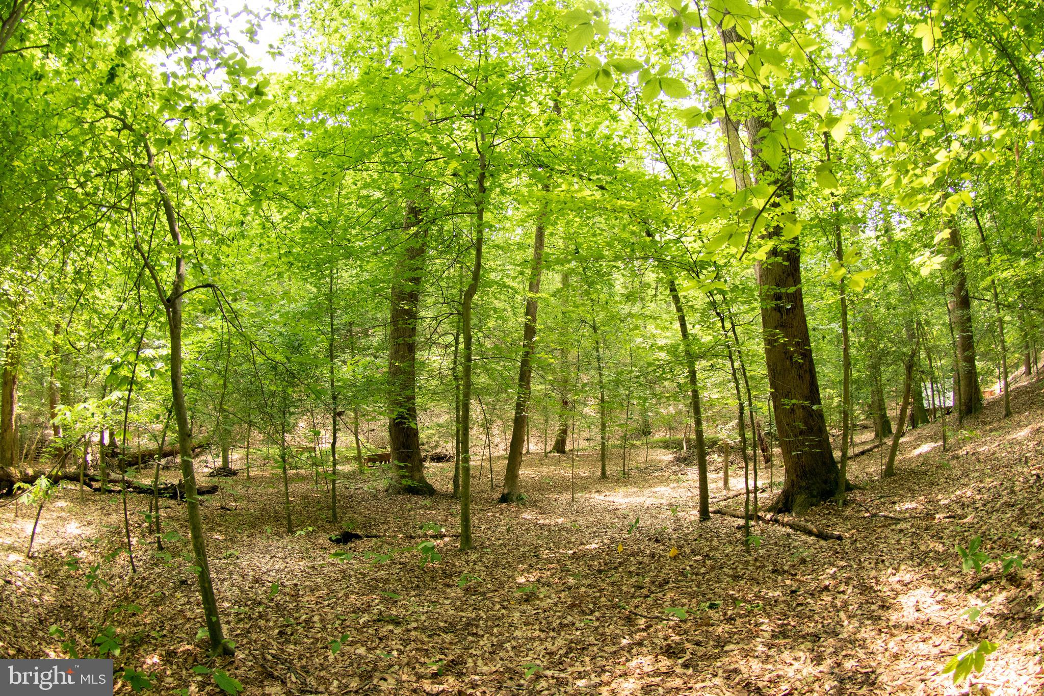 2720 HIDDEN VALLEY ROAD