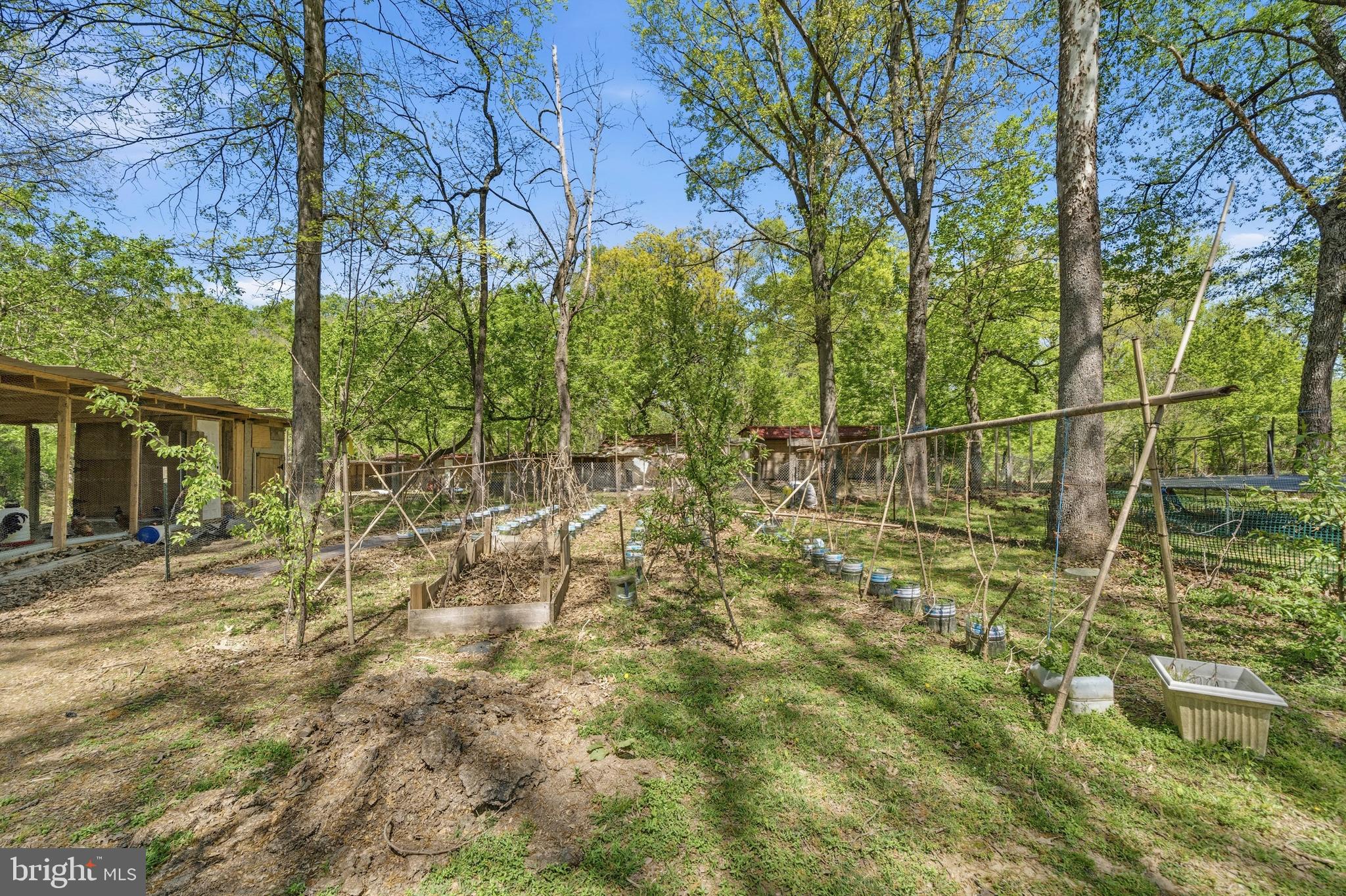 1801 SPRINGVALE COURT