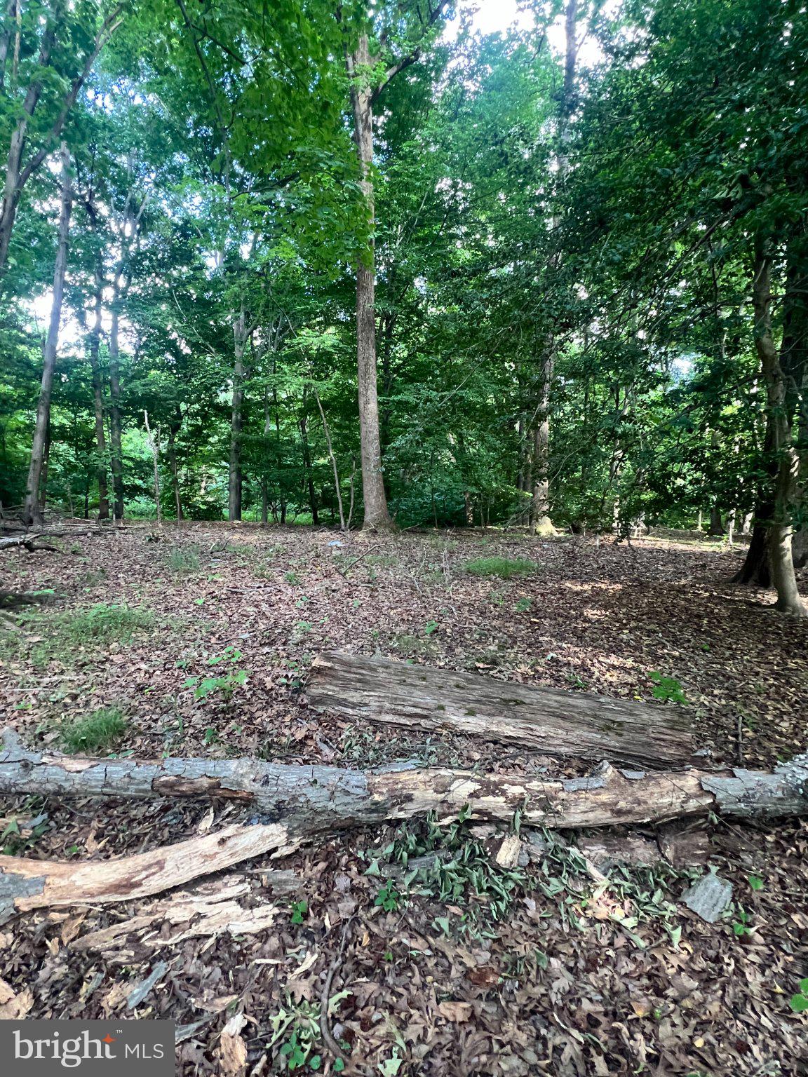 12955 OLD FORT ROAD