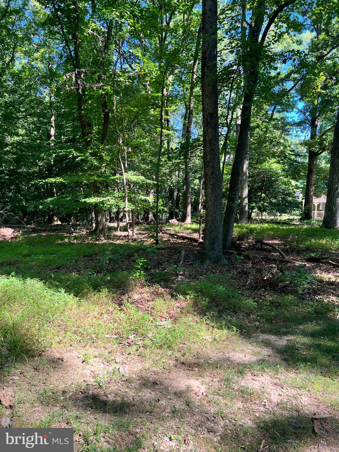 12955 OLD FORT ROAD