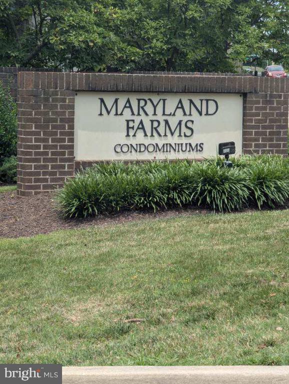 11312 CHERRY HILL ROAD Unit: 102
