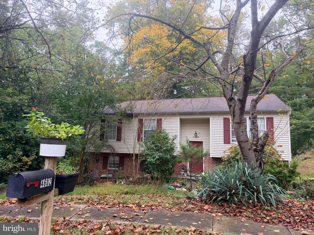 4602 HIDDEN PINE LANE