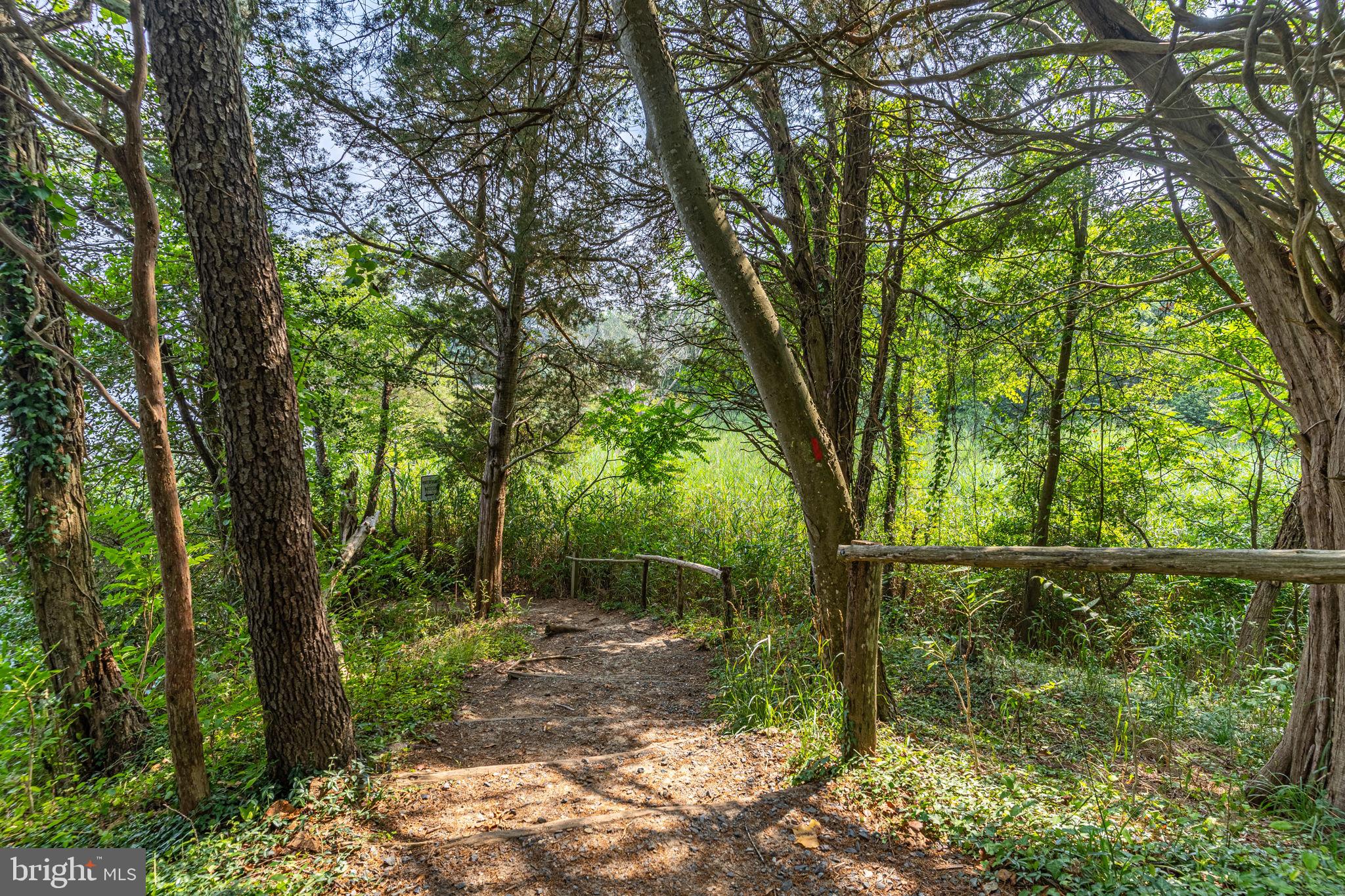 23834 Myrtle Glen Way