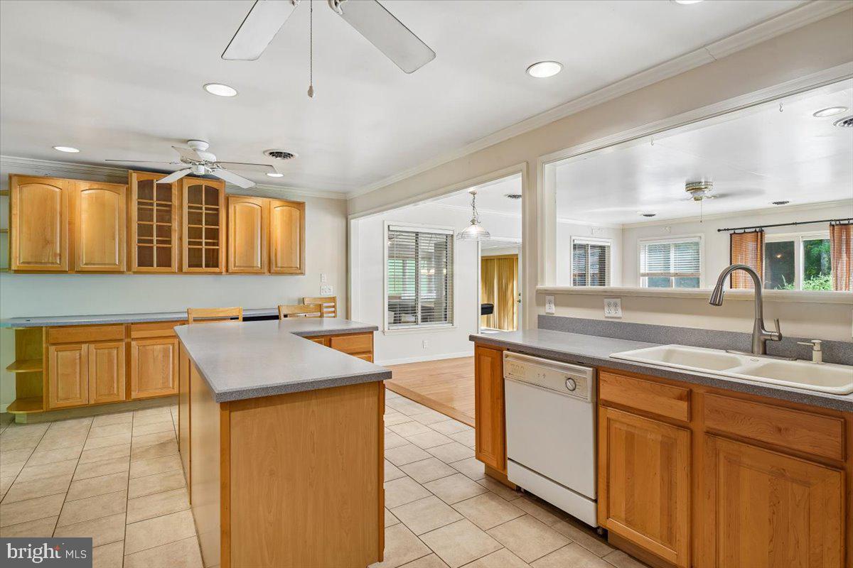 10541 SHADY DRIVE