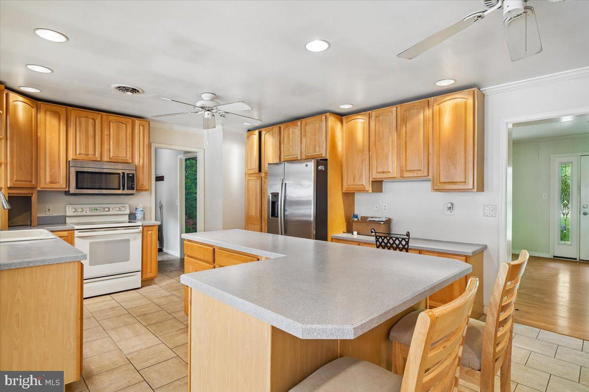 10541 SHADY DRIVE