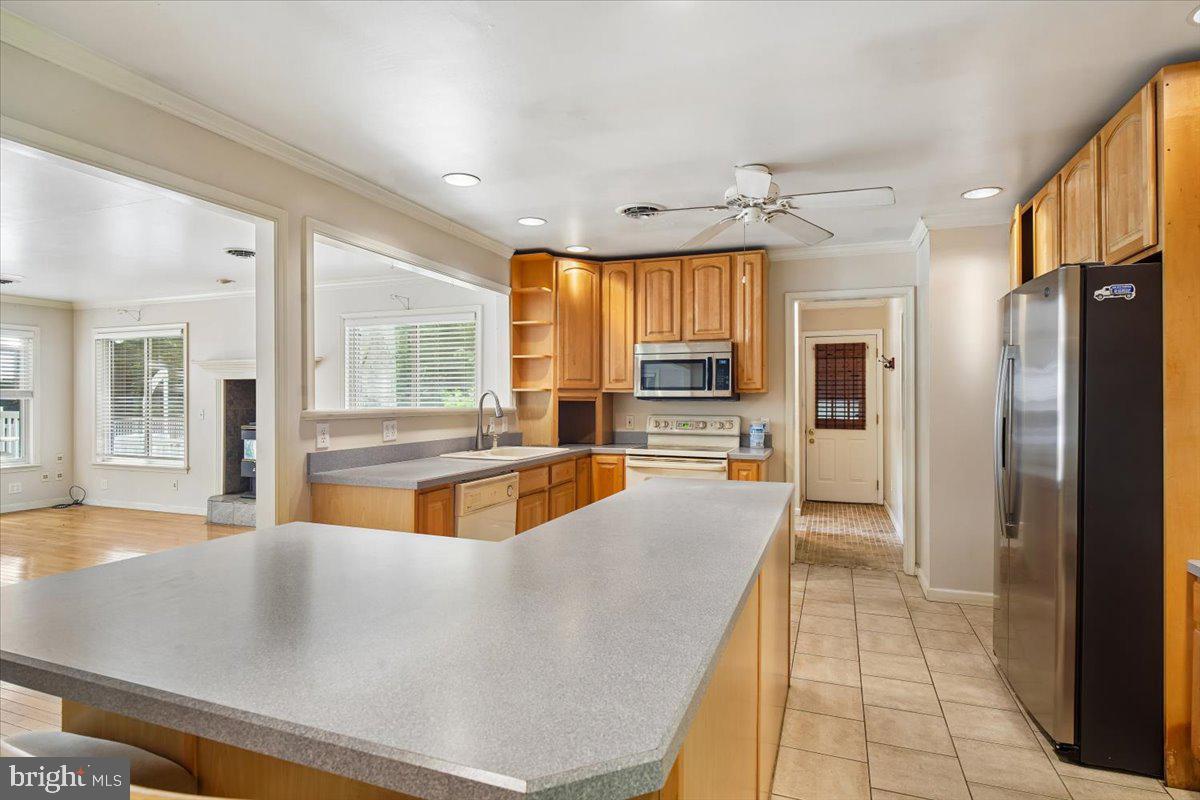 10541 SHADY DRIVE