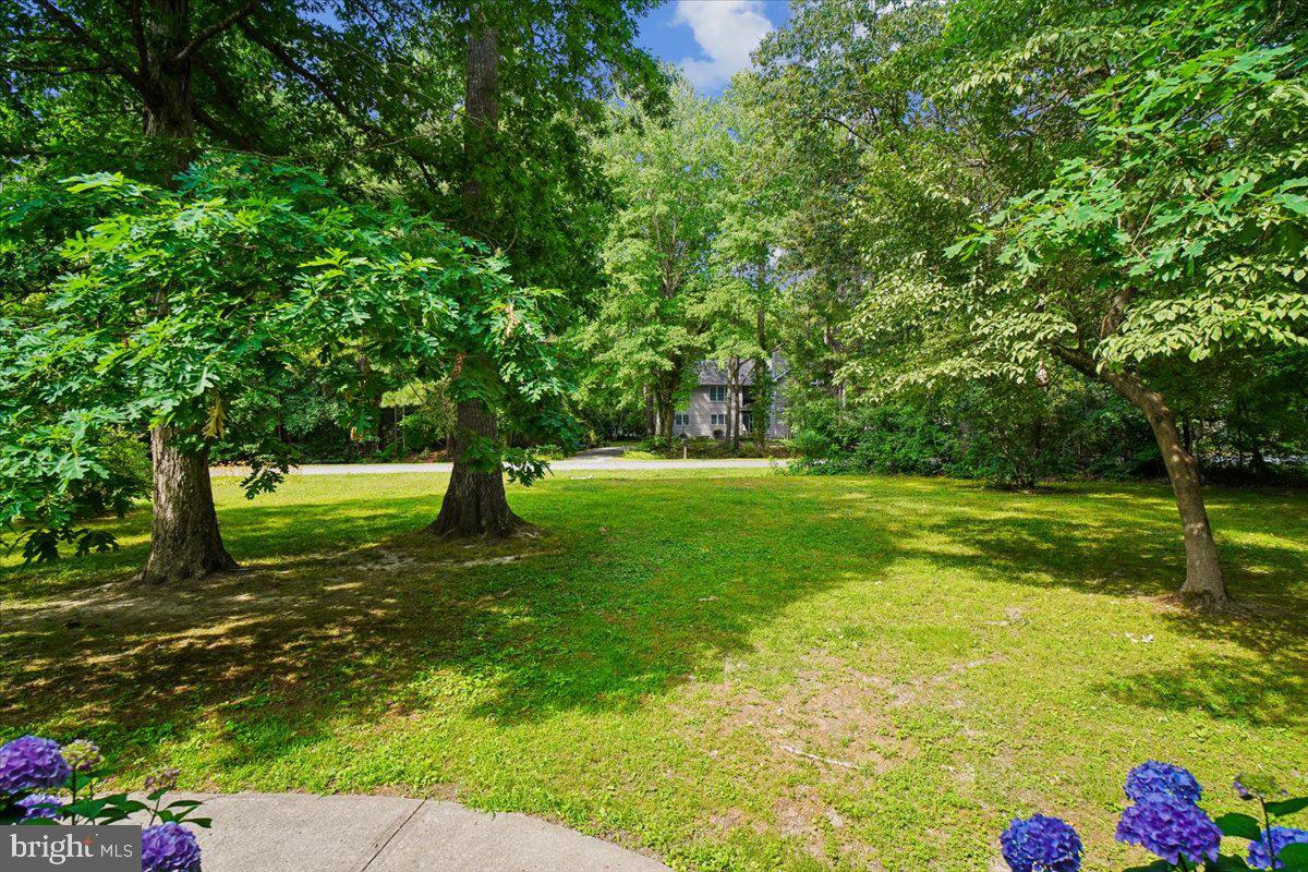 10541 SHADY DRIVE
