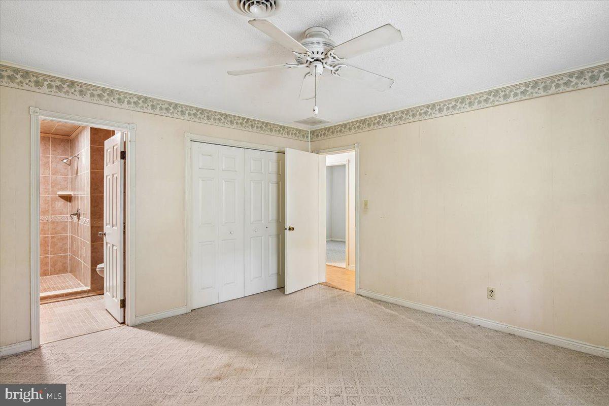 10541 SHADY DRIVE
