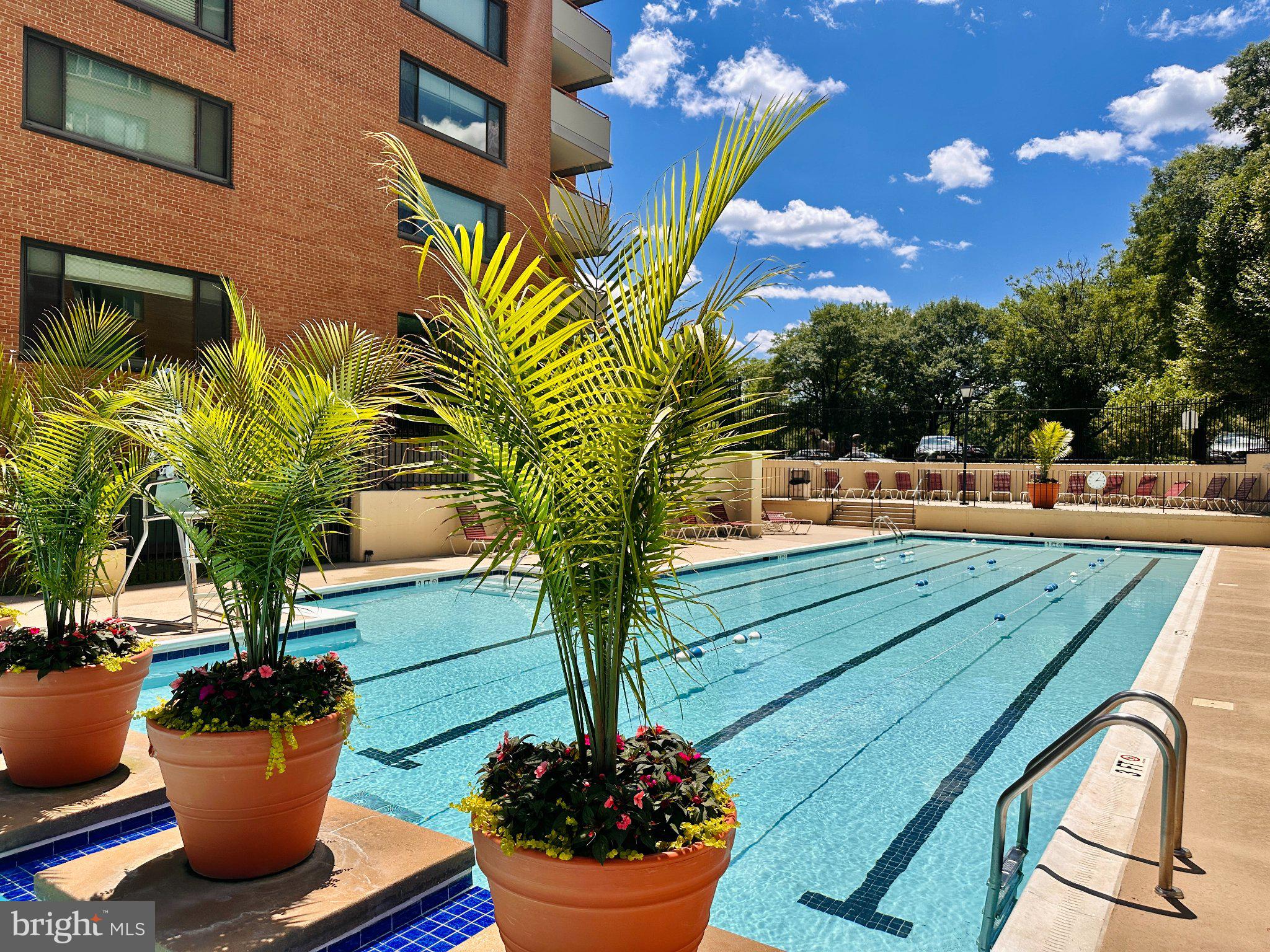 1111 ARLINGTON BOULEVARD 210