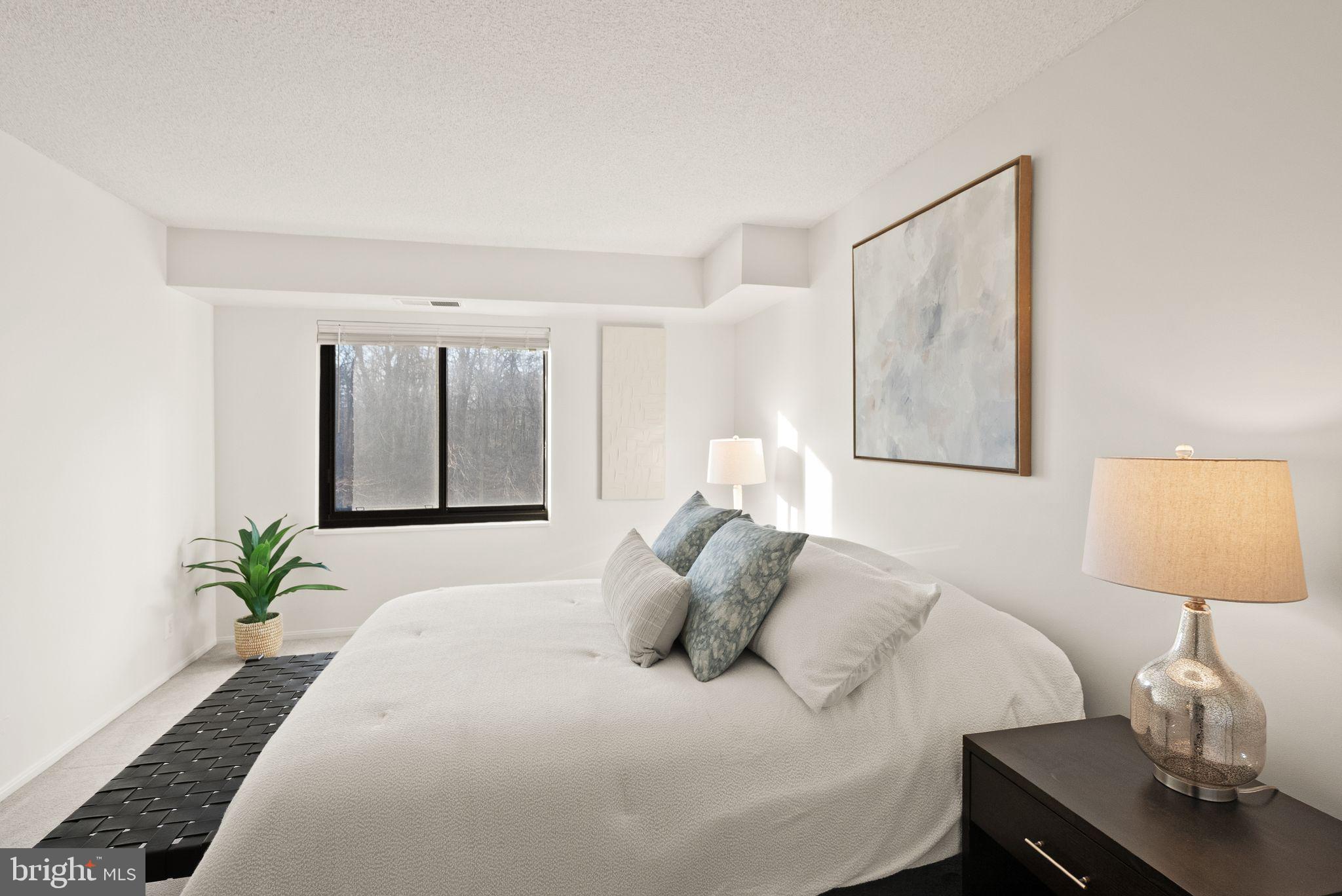 203 YOAKUM PARKWAY 507