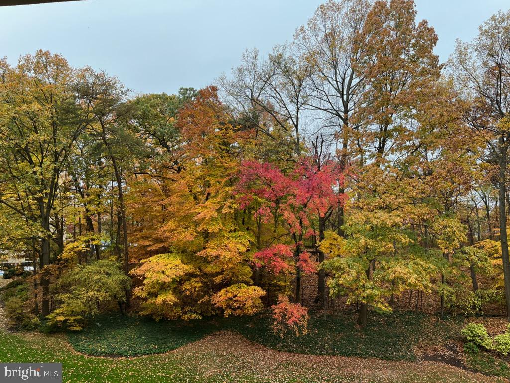 203 YOAKUM PARKWAY 507