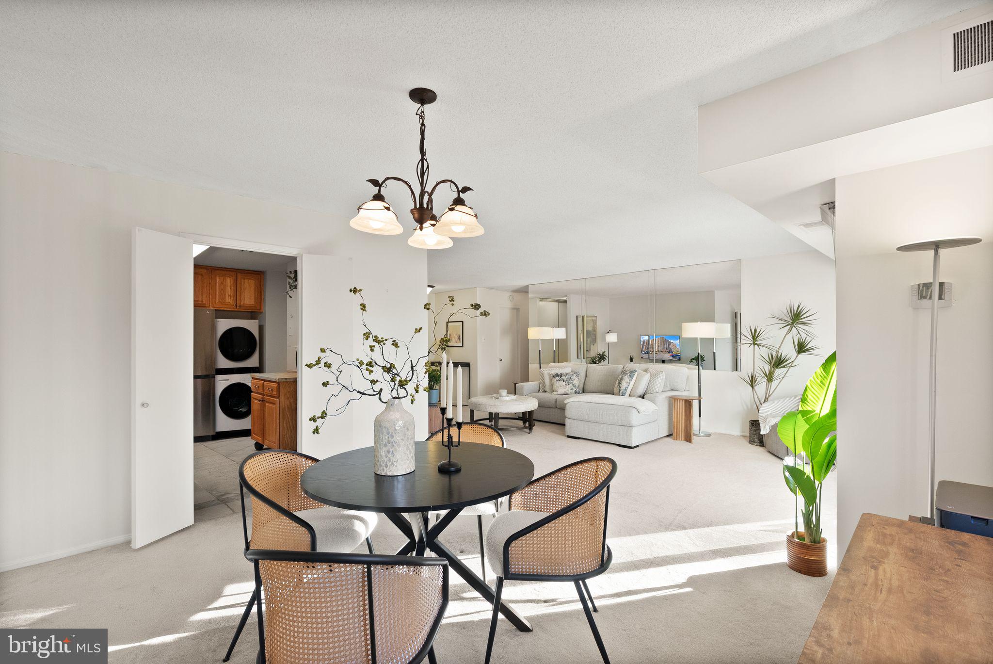 203 YOAKUM PARKWAY 507