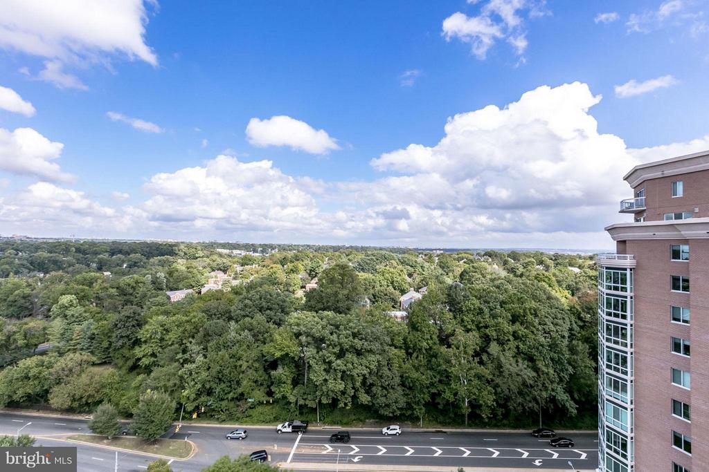 3101 N HAMPTON DRIVE Unit: 1411