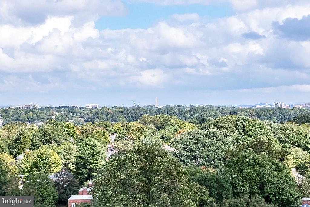 3101 N HAMPTON DRIVE Unit: 1411