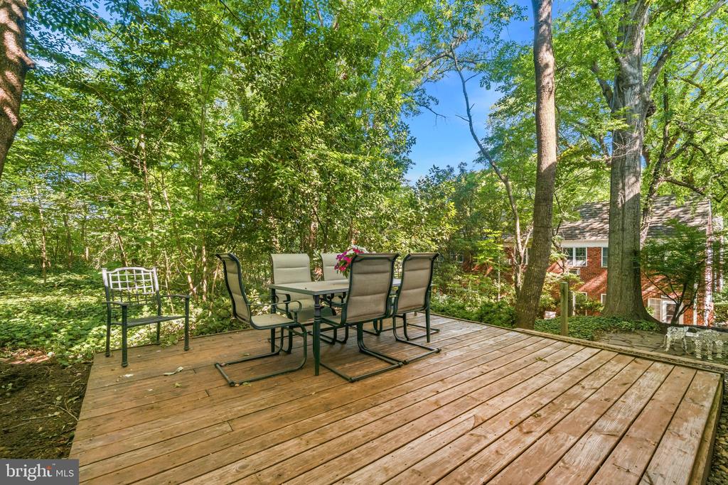 3484 MARTHA CUSTIS DRIVE