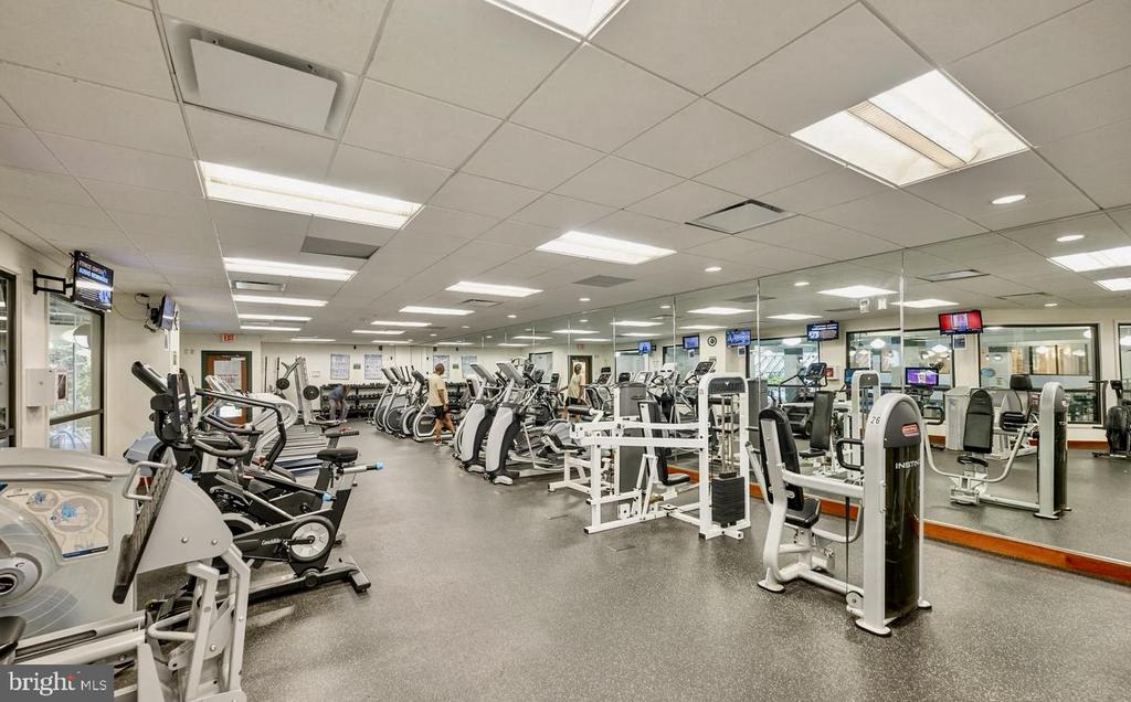 205 YOAKUM PARKWAY Unit: 914