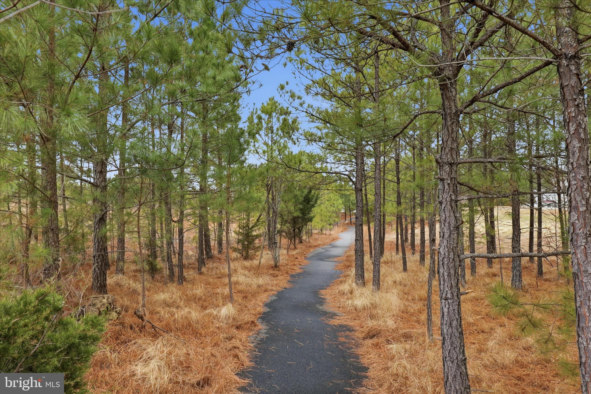 6619 SACAGAWEA STREET