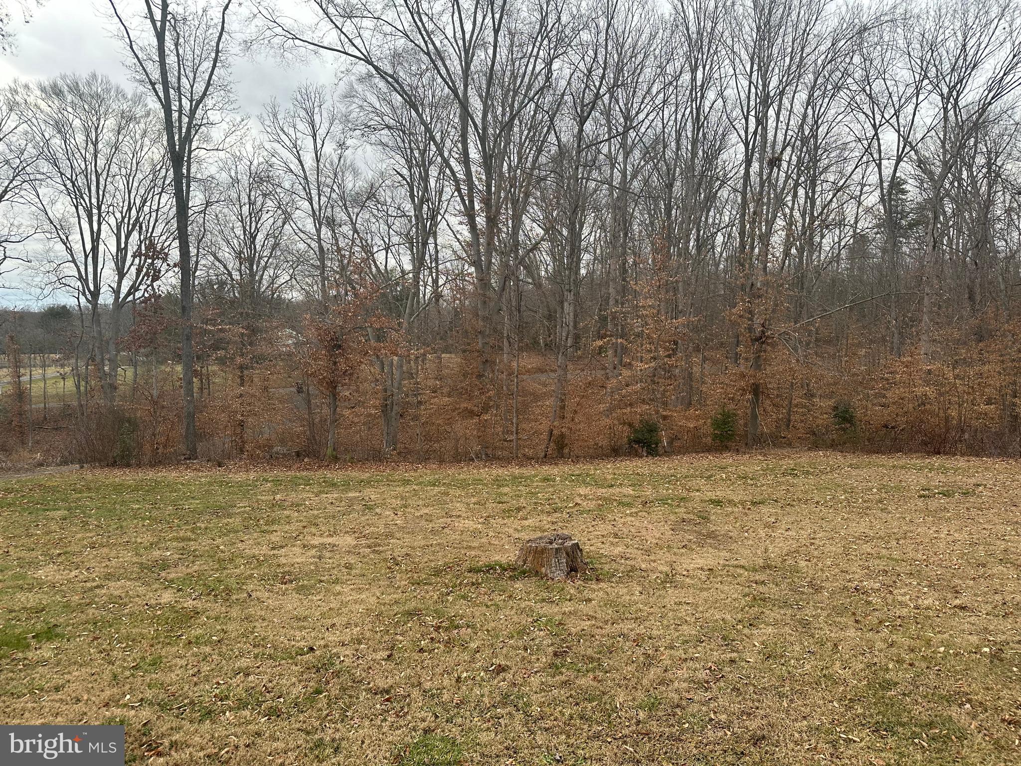 14661 ROGERS FORD ROAD