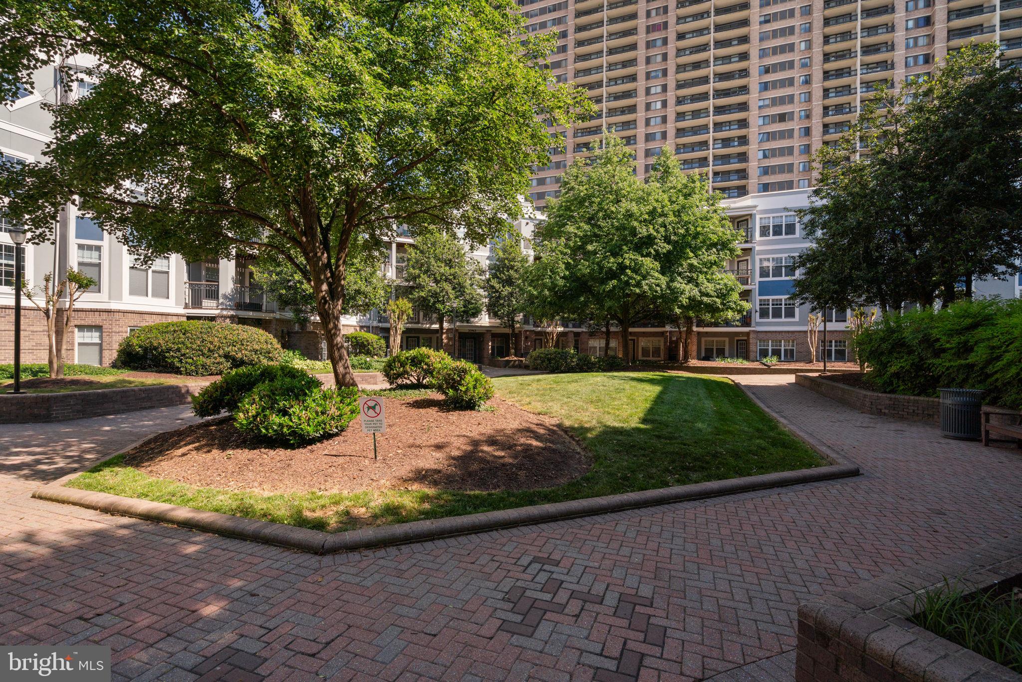 5565 Seminary Rd #402