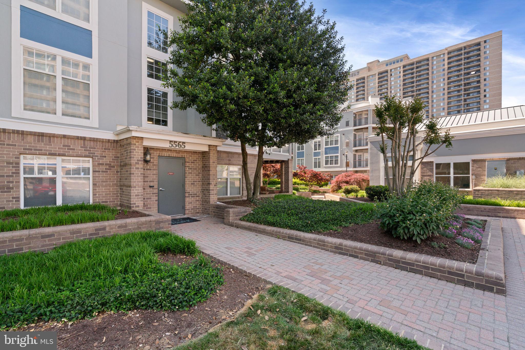 5565 Seminary Rd #402