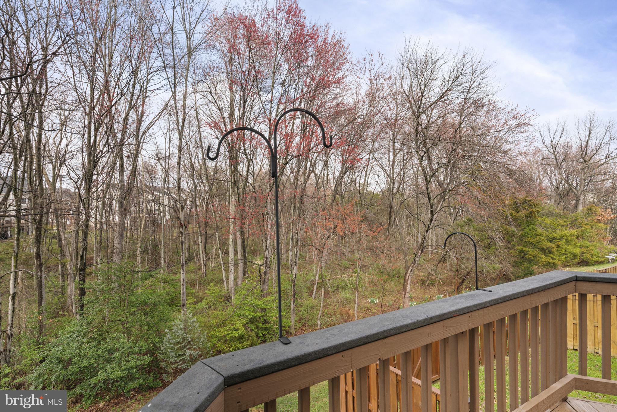 7315 Hampton Manor Pl