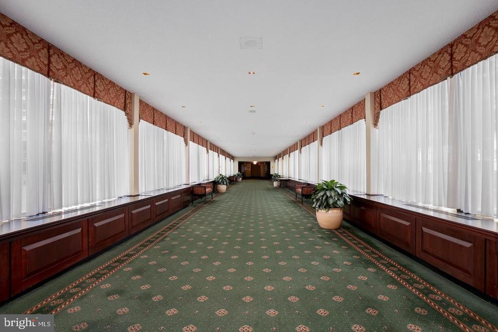 3701 S GEORGE MASON DRIVE Unit: 1606N