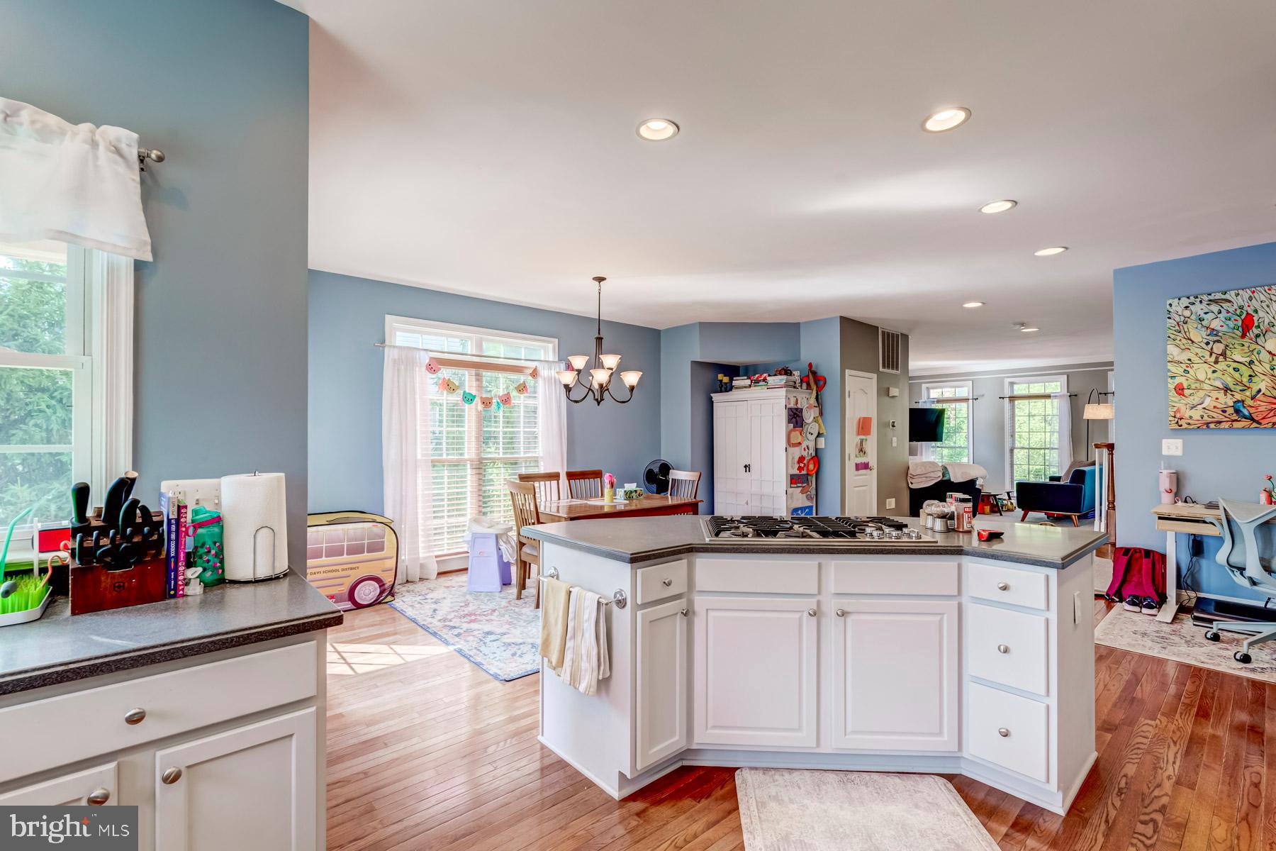 25811 Turlough Ter