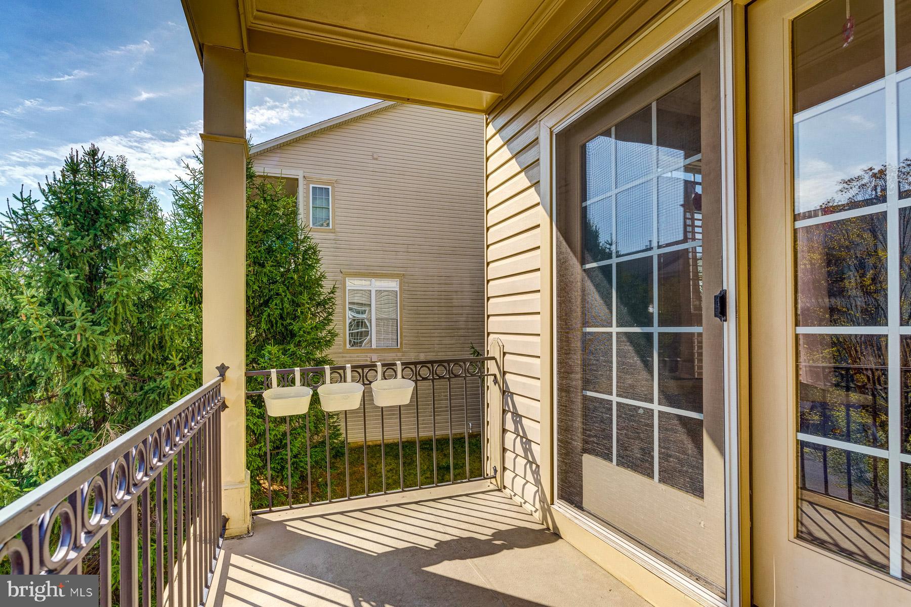 25811 Turlough Ter