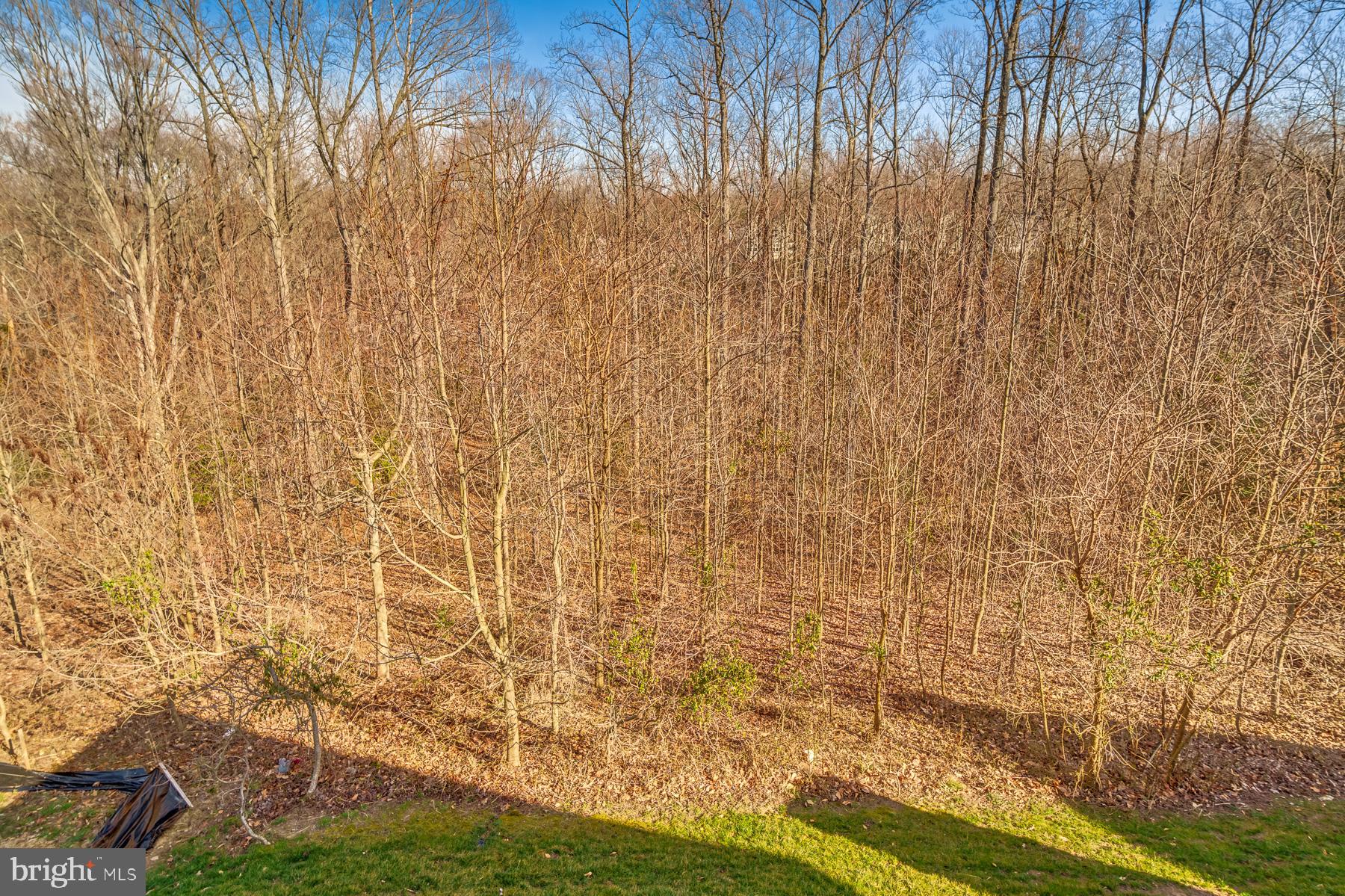 17045 Silver Arrow Dr