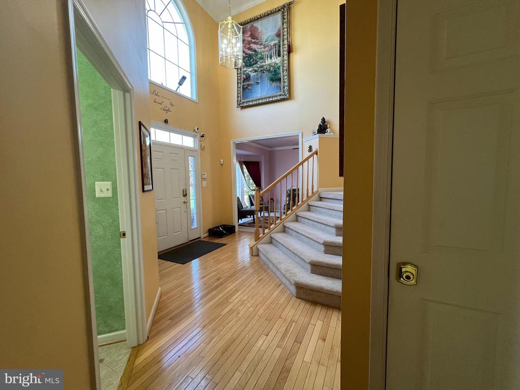 15409 BALD EAGLE LN