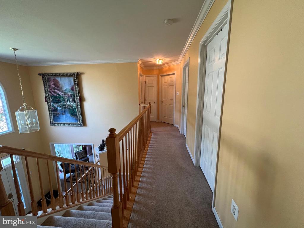 15409 BALD EAGLE LN