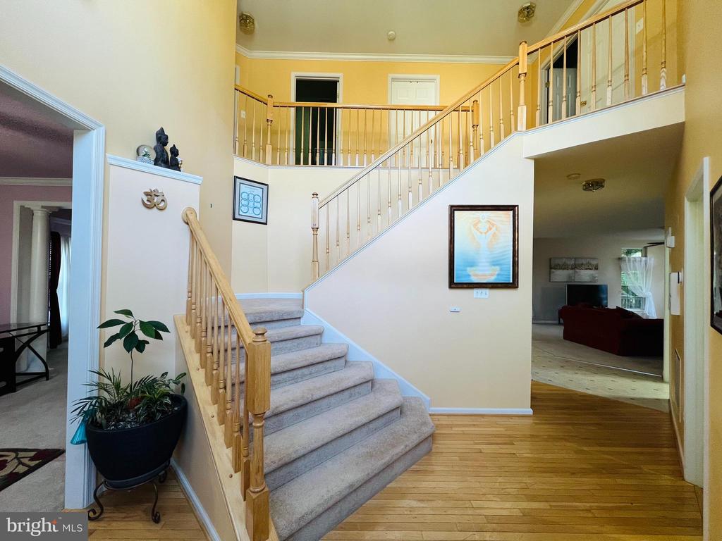 15409 BALD EAGLE LN