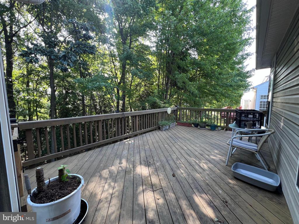 15409 BALD EAGLE LN