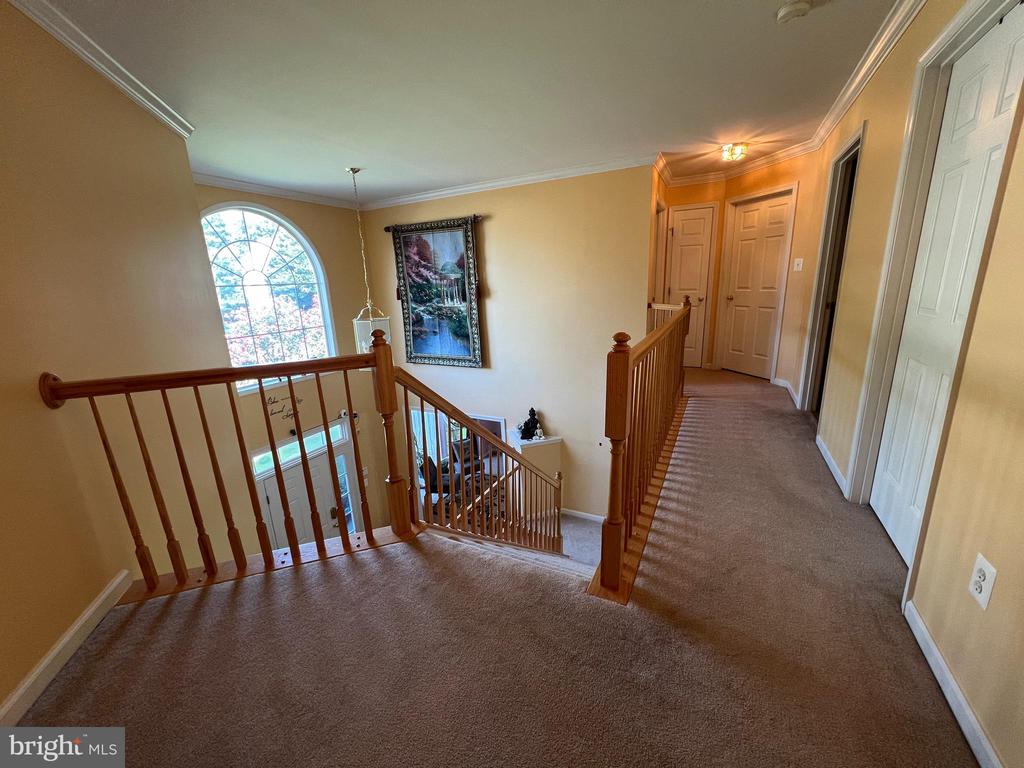 15409 BALD EAGLE LN