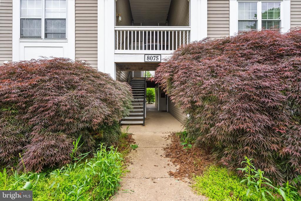 8075 Lacy Dr #303