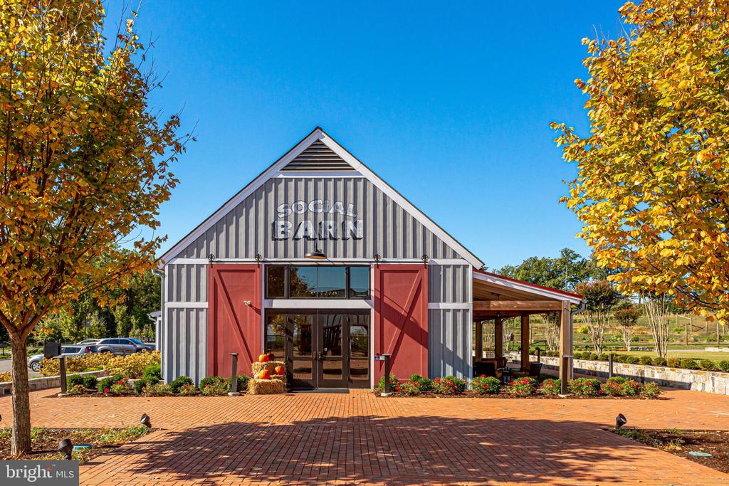 17233 BRANCHED OAK ROAD