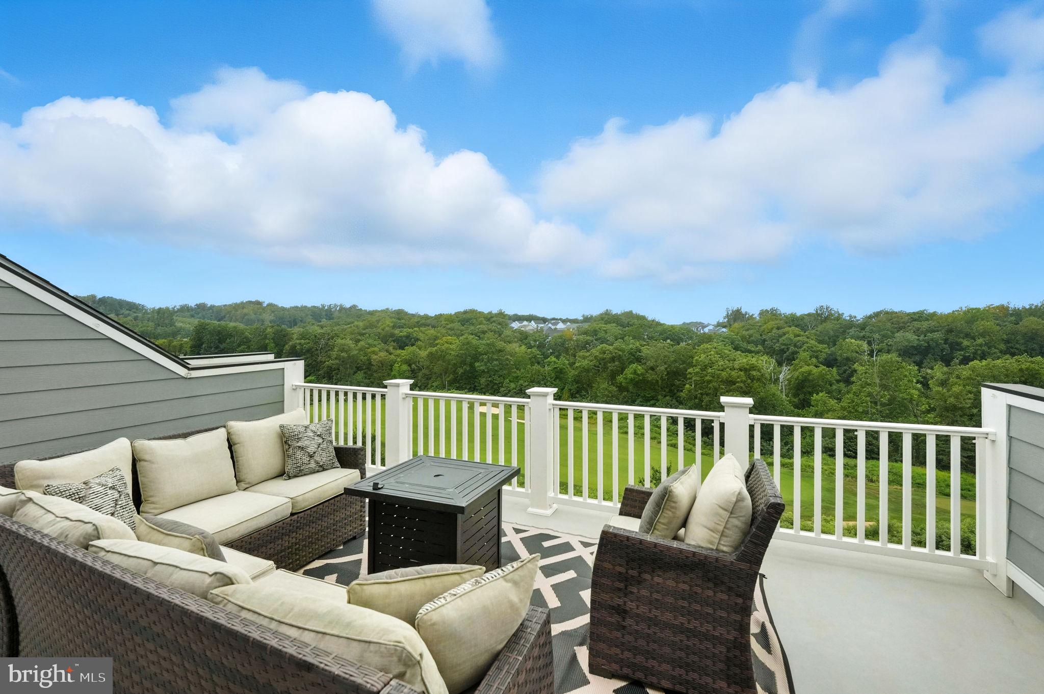 17233 BRANCHED OAK ROAD