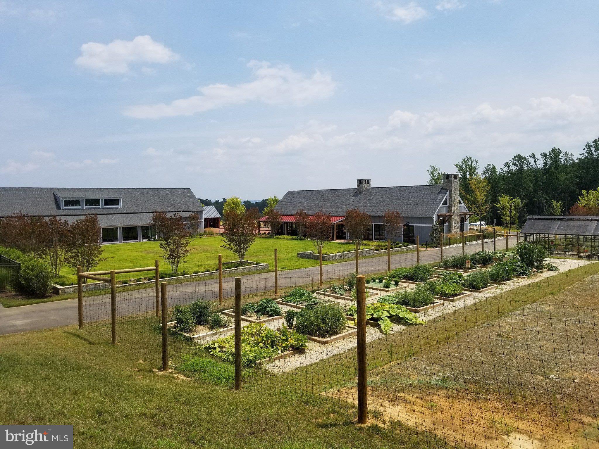 17233 BRANCHED OAK ROAD