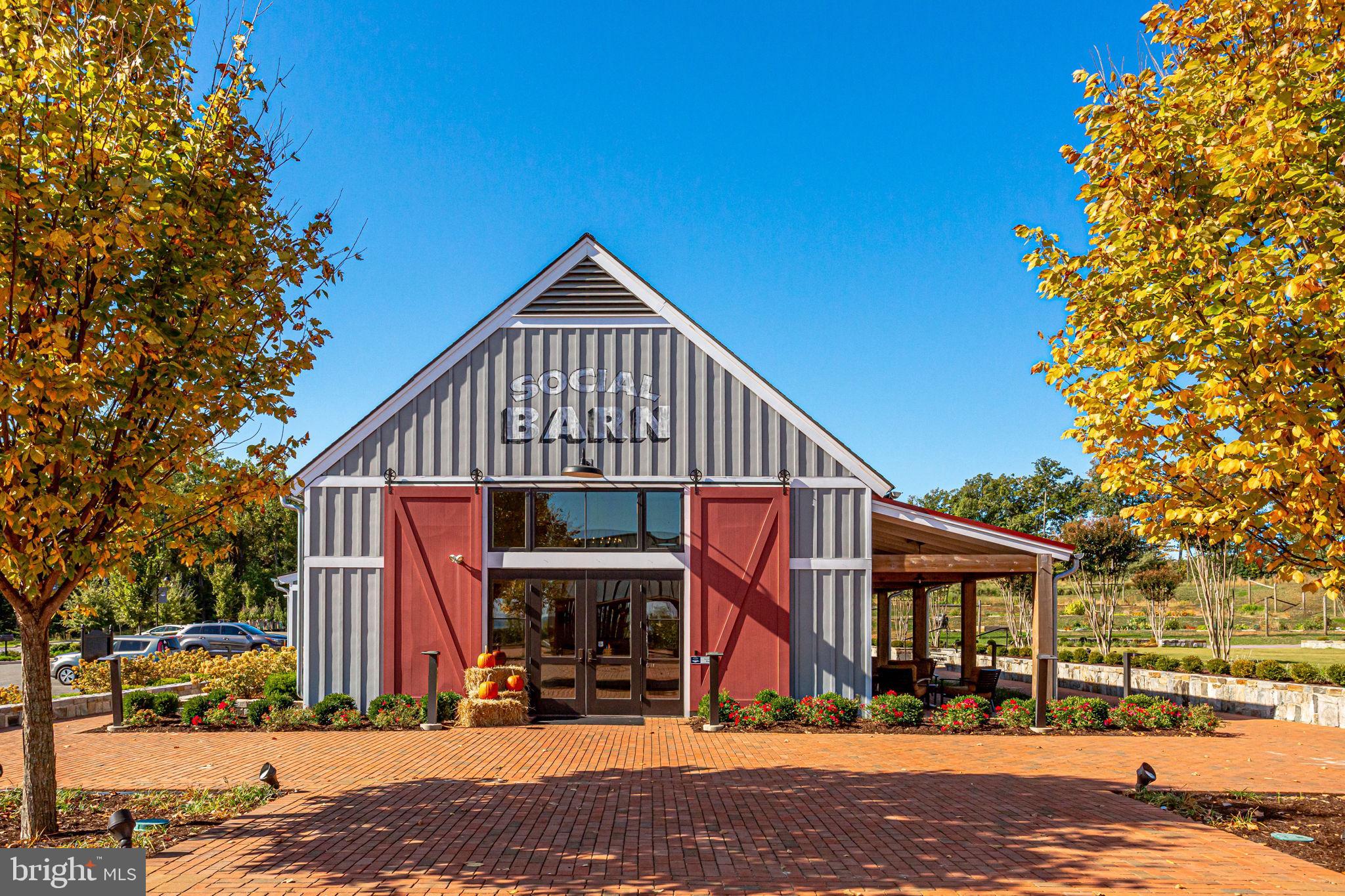 17233 BRANCHED OAK ROAD