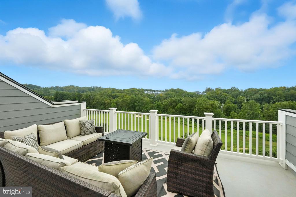 17233 BRANCHED OAK ROAD