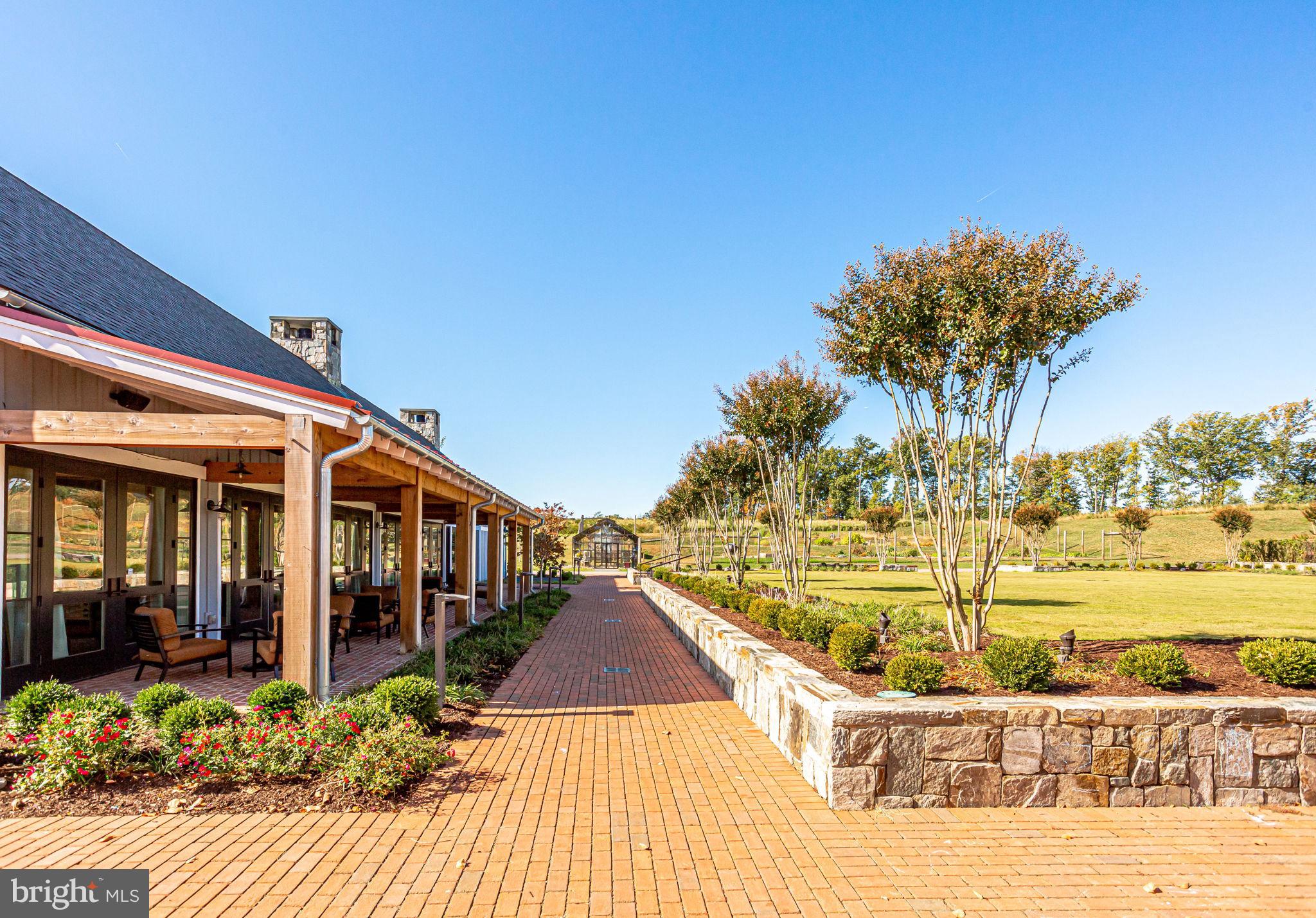 17233 BRANCHED OAK ROAD