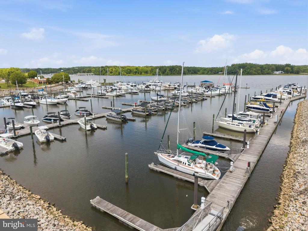 500 BELMONT BAY DRIVE 305