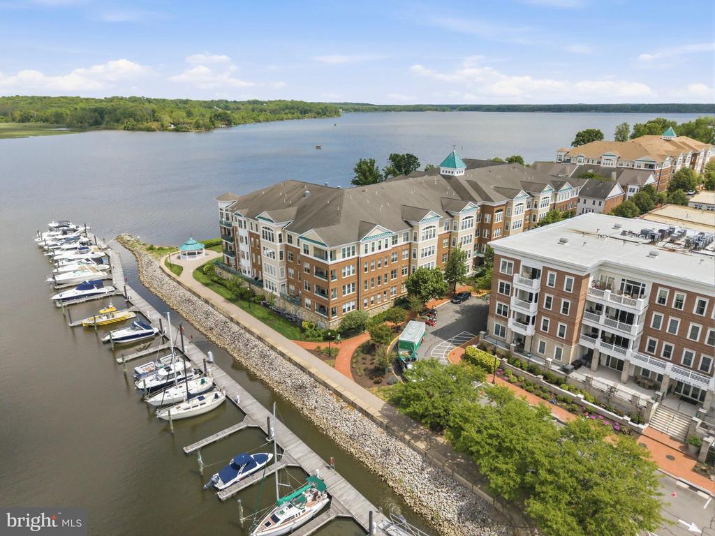 500 BELMONT BAY DRIVE 305