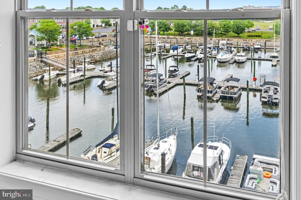 500 BELMONT BAY DRIVE 305