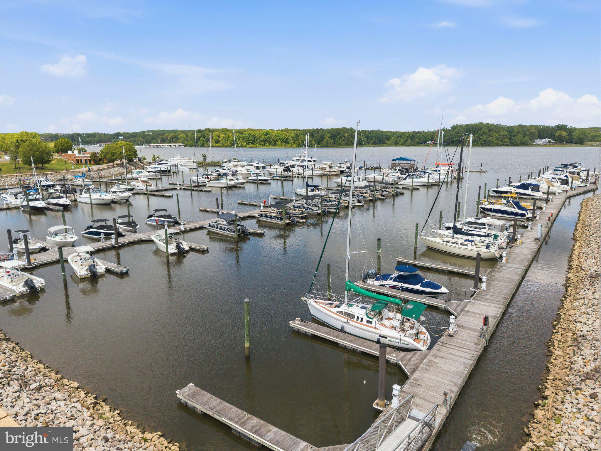 500 BELMONT BAY DRIVE 305