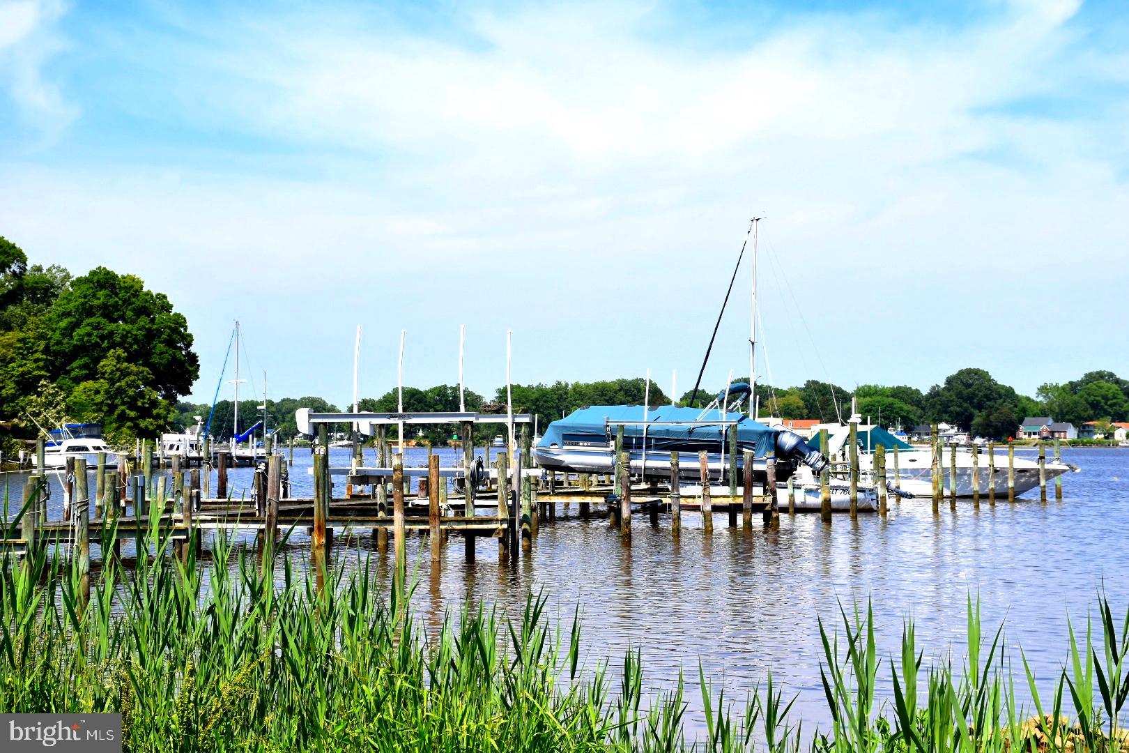 1341 HOLLY VISTA DRIVE